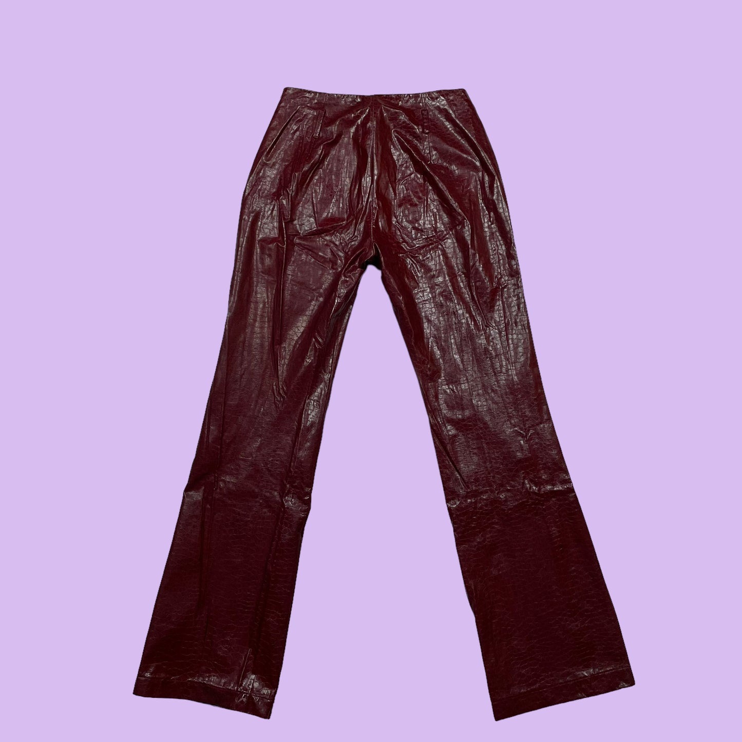 Vinyl Pants - DE 36