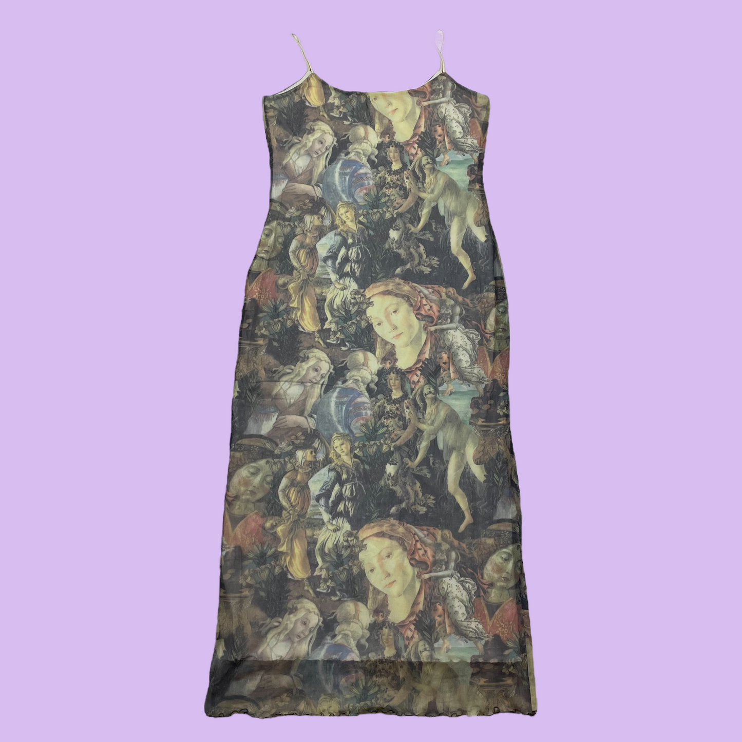 Baroque Painting Motive Mesh Dress - DE38