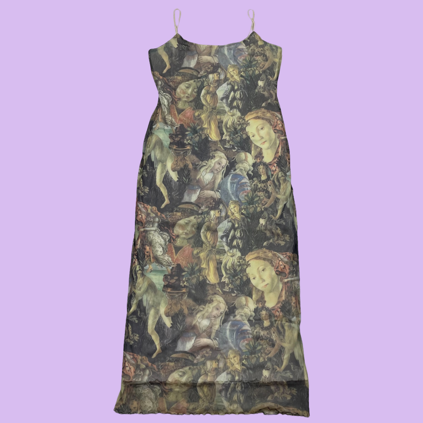 Baroque Painting Motive Mesh Dress - DE38